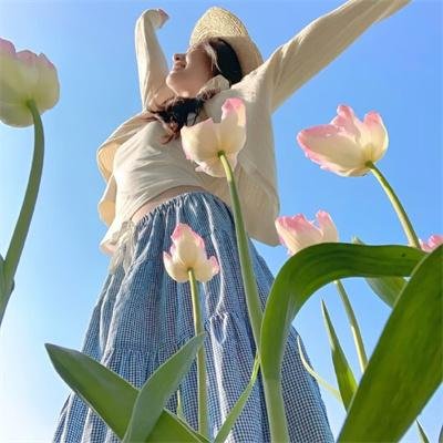 暗芝居第十五季